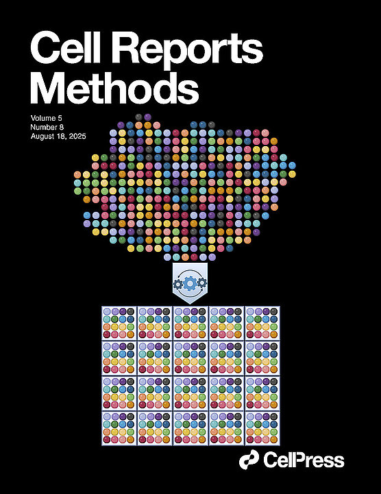 Coverbild der wissenschaftlichen Zeitschrift, mit Visualisierung der Methode.